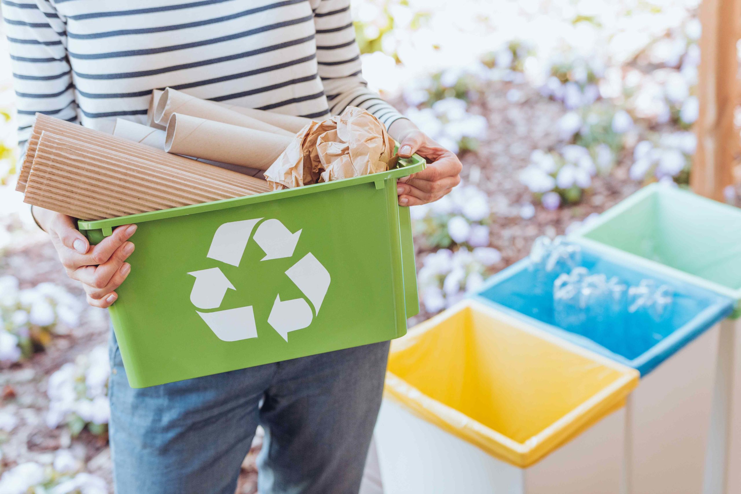 Recycling Process - Sorting and processing recyclable materials